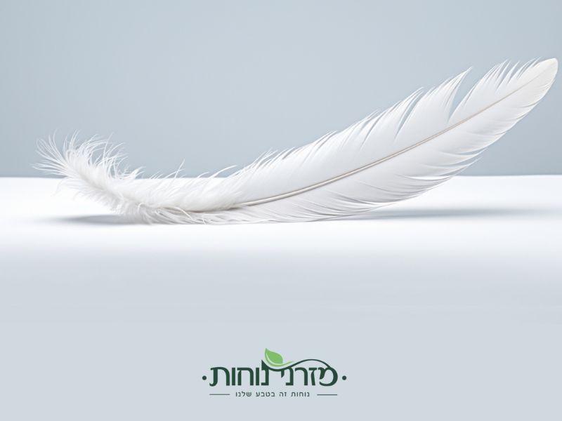 נוצה לבנה על מזרן