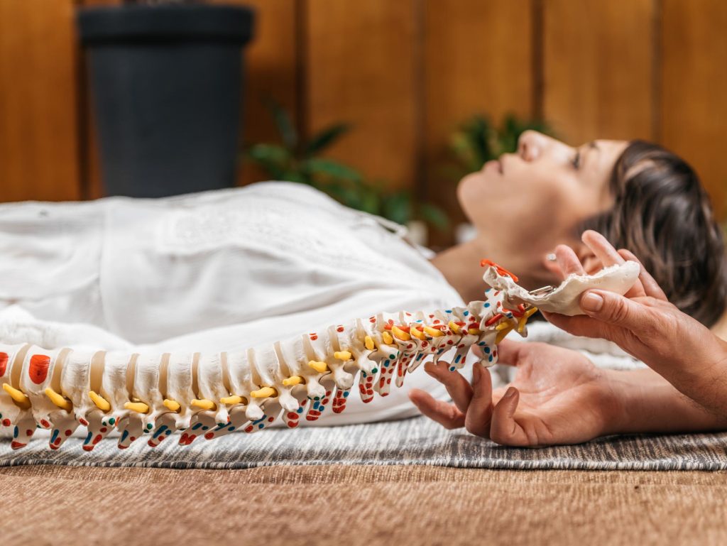 Patient Education with Flexible Spine Model